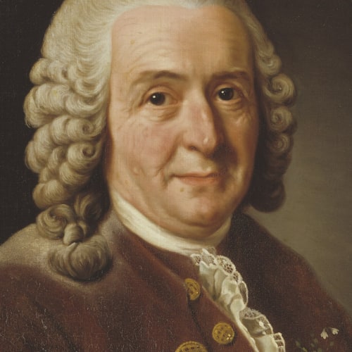Carolus Linnaeus