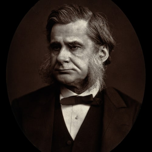 Thomas Huxley