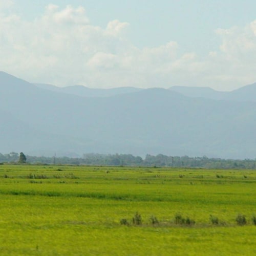 Pampa