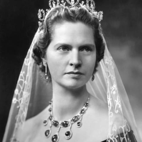 João Adolfo de Saxe-Gota-Altemburgo