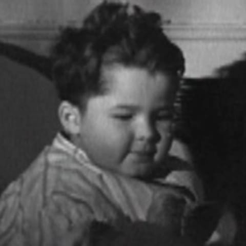 Harold Wertz