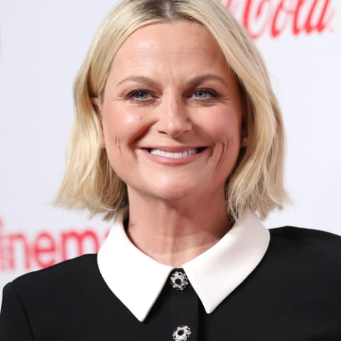 Amy Poehler