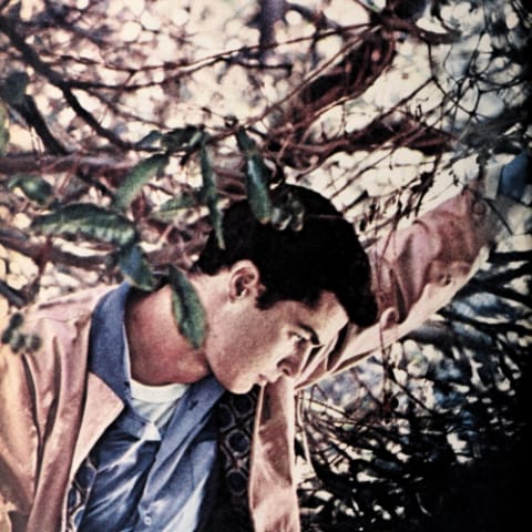 Richard Beymer