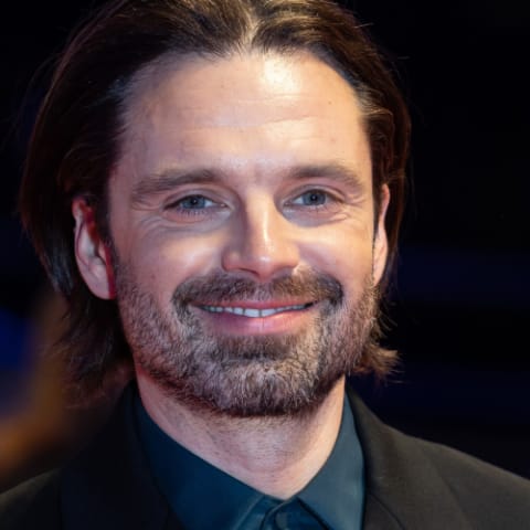 Sebastian Stan