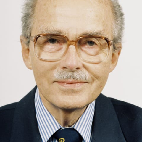 Oto, Príncipe Herdeiro da Áustria