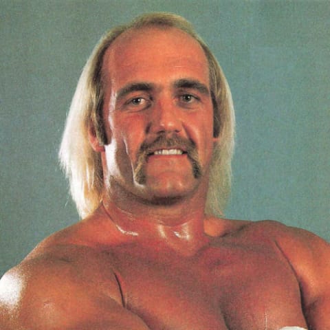 Hulk Hogan