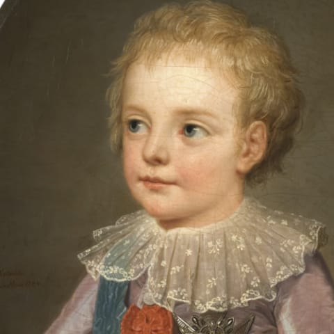 Luís José, Delfim da França
