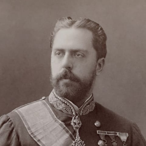 Carlos, Duque de Madrid