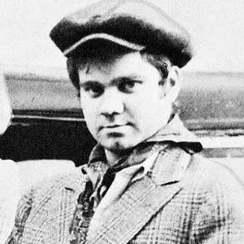 Michael J. Pollard