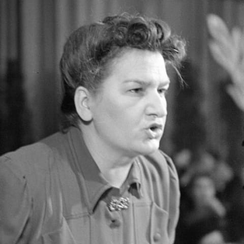 Emmy Damerius-Koenen