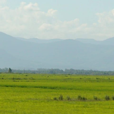 Pampa
