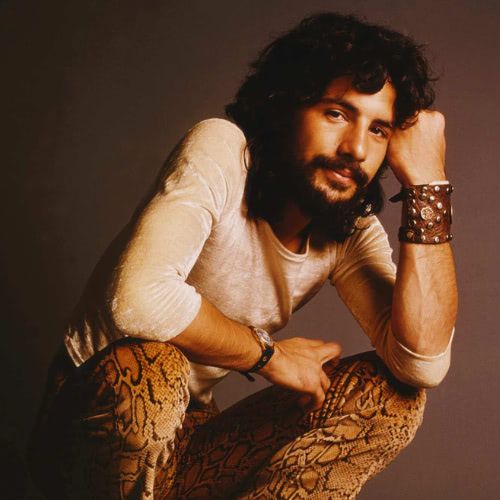 Cat Stevens