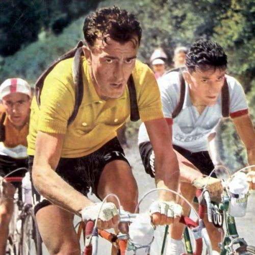 Louison Bobet