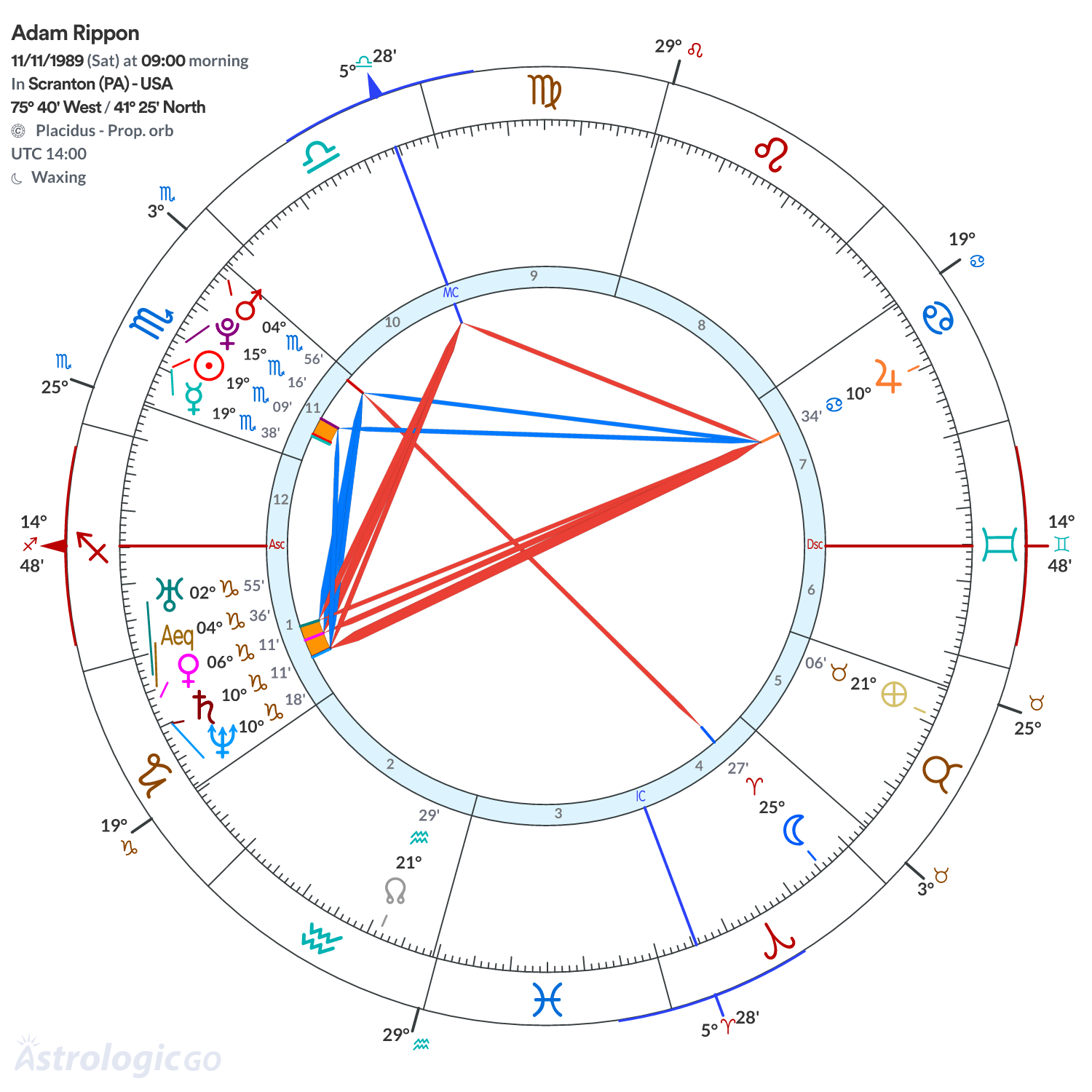Mandala - Adam Rippon