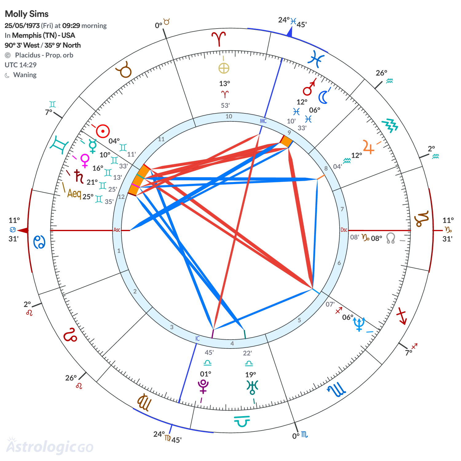 Mandala - Molly Sims