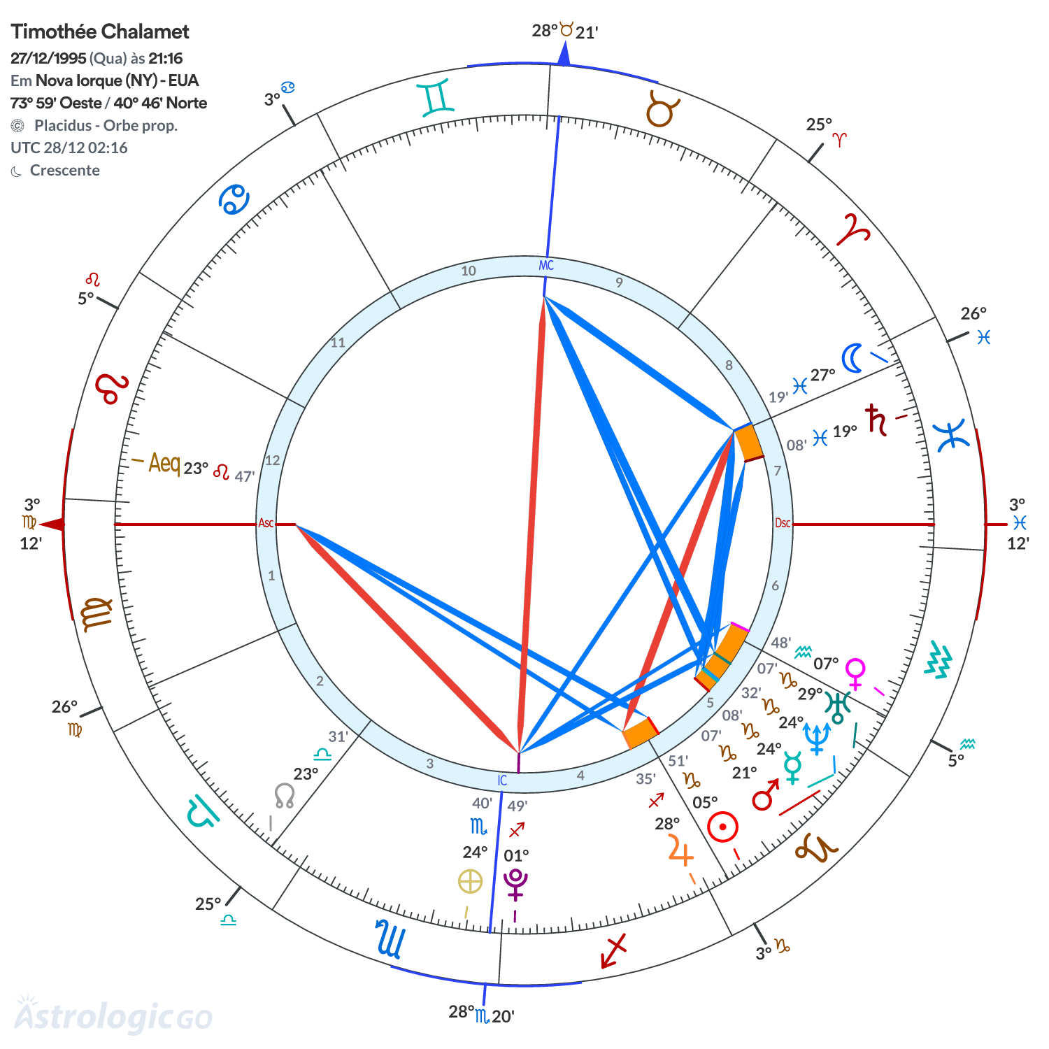 Mandala - Timothée Chalamet